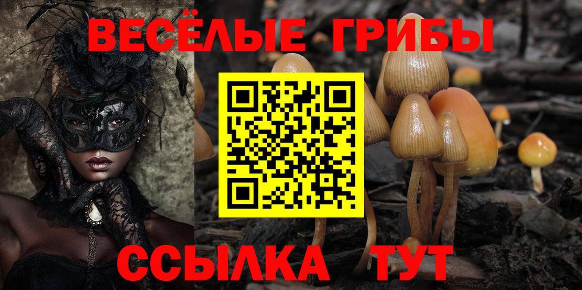 Иркутск  Галлюциногенные грибы ЛСД  Вход с VPN 